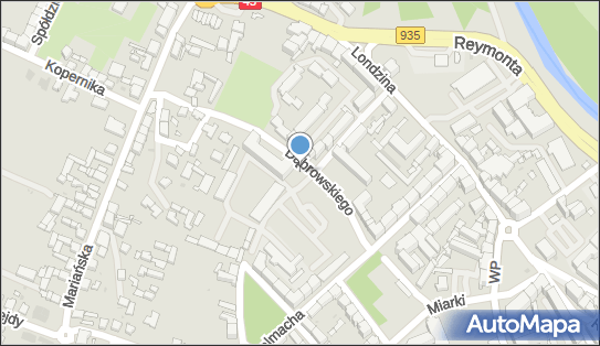 Śląski Oddział Straży Granicznej im Powstańców Śląskich w Raciborzu 47-400 - Przedsiębiorstwo, Firma, numer telefonu, NIP: 6391703653