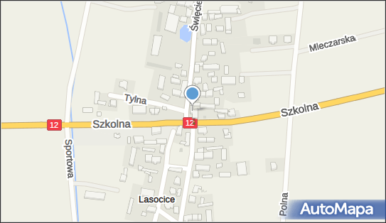 Sławomir Stasiński Agro-Stas, Święciechowska 2, Lasocice 64-100 - Przedsiębiorstwo, Firma, NIP: 6971662008