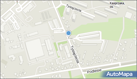 Śnieżka, ul. Tysiąclecia -, Dąbrowa Górnicza 41-300 - Przedsiębiorstwo, Firma, NIP: 6291245056