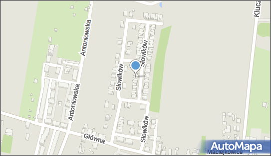 Soluzioni Aleksandra Wojciechowska, ul. Słowików 25, Chorzów 41-500 - Przedsiębiorstwo, Firma, NIP: 6442998168