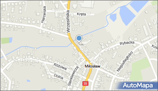 Soprais Prais Mariola, Wrzesińska 16, Miłosław 62-320 - Przedsiębiorstwo, Firma, NIP: 9671054097