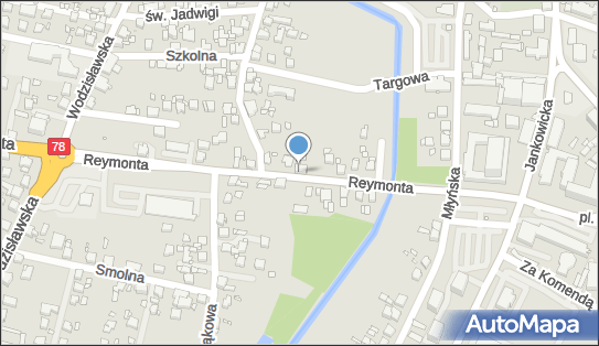 Specjal Trans Przewóz Osób, ul. Władysława Stanisława Reymonta 20 44-200 - Przedsiębiorstwo, Firma, numer telefonu, NIP: 6421839648