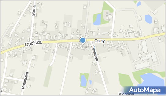 Specjalista Chorób Dziecięcych Wizyty Domowe, Opolska 47, Osiny 46-070 - Przedsiębiorstwo, Firma, NIP: 7541289843