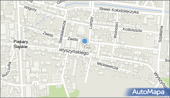 Specjalistyczna Praktyka Lekarska Anna Górniok-Niechciał 41-940 - Przedsiębiorstwo, Firma, NIP: 6451678492