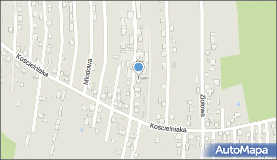 6341600336, Specjalistyczna Praktyka Lekarska Aleksandra Noras-Świst 