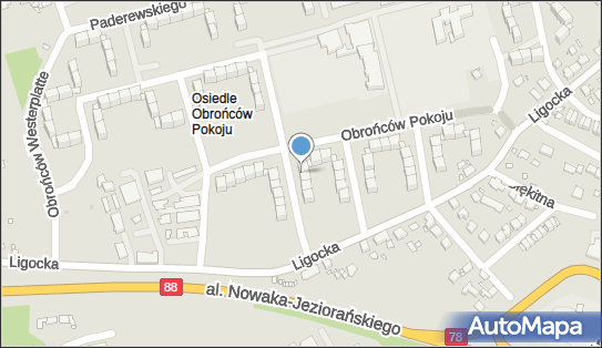 Specjalistyczna Praktyka Lekarska, ul. Obrońców Pokoju 59 44-100 - Przedsiębiorstwo, Firma, NIP: 6311127071