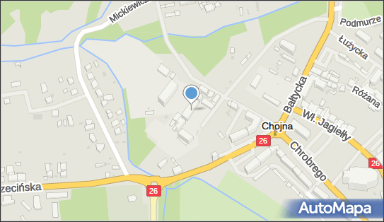 8581375325, Specjalny Ośrodek Szkolno-Wychowawczy im.Mieszka i w Chojnie 