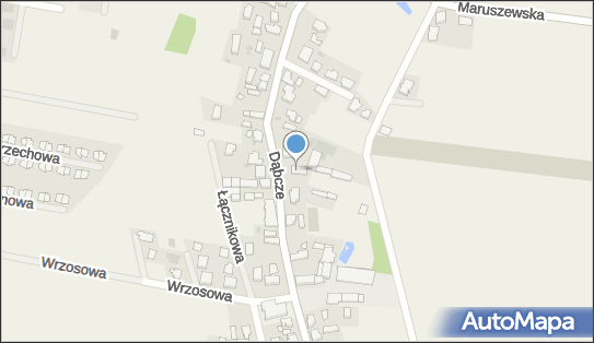 Spectorium - MGR Inż.Jędrzej Lisewski, Dąbcze 95, Dąbcze 64-130 - Przedsiębiorstwo, Firma, NIP: 6971915107