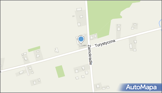 Speedinfo, ul. Turystyczna 134, Chełmce 26-067 - Przedsiębiorstwo, Firma, NIP: 9591658775