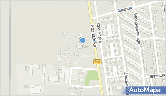Speedway Michalski Damian, ul. Poznańska 45, Leszno 64-100 - Przedsiębiorstwo, Firma, NIP: 6972282822
