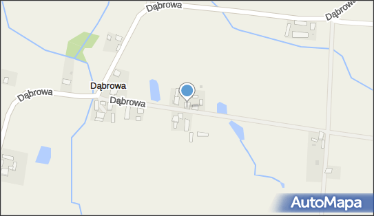 Spirka Henryk, Dąbrowa 30, Dąbrowa 89-430 - Przedsiębiorstwo, Firma, NIP: 5551317988