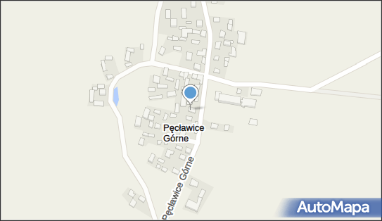 Spółdzielnia Socjalna Lepsza Przyszłość, Pęcławice Górne 22 28-210 - Przedsiębiorstwo, Firma, numer telefonu, NIP: 8661734080