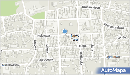 Sport But, pl. Rynek 31, Nowy Targ 34-400 - Przedsiębiorstwo, Firma, numer telefonu, NIP: 7350016703