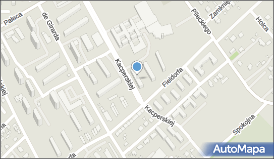 Spot Seven, ul. Gen. Augusta Emila Fieldorfa-Nila 9, Żyrardów 96-300 - Przedsiębiorstwo, Firma, NIP: 5651348540