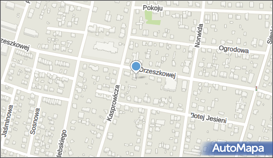 5221223356, Sprzedaż Art.Spożywczych i Przemysłowych, Suchanek Magdalena 