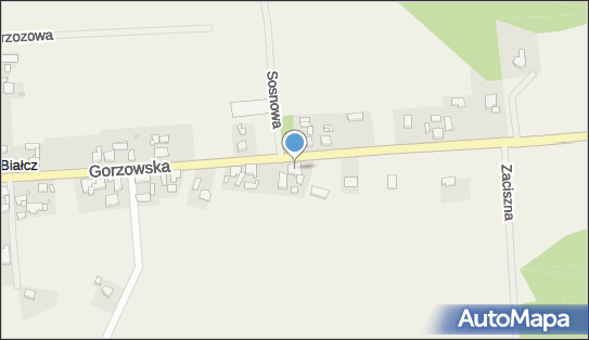 Sprzedaż Hurtowo -Detaliczna Jan Stojanowski, Gorzowska 9, Białcz 66-460 - Przedsiębiorstwo, Firma, NIP: 5990200863