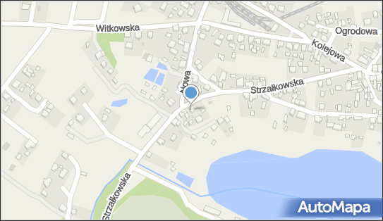 Sprzedaż Ryb - Janusz Miczyński, Strzałkowska 15, Powidz 62-430 - Przedsiębiorstwo, Firma, NIP: 6671143959
