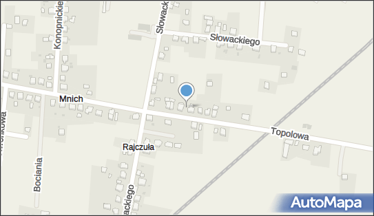 Sroczyński Tomasz Ecu-Tech Auto Serwis, Topolowa 33, Mnich 43-520 - Przedsiębiorstwo, Firma, NIP: 5481966605