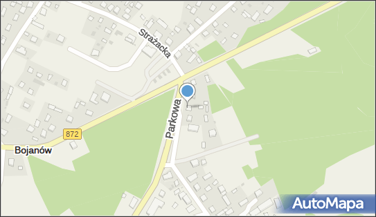 Środowiskowy Dom Samopomocy, ul. Parkowa 4, Bojanów 37-433 - Przedsiębiorstwo, Firma, numer telefonu, NIP: 8652482408