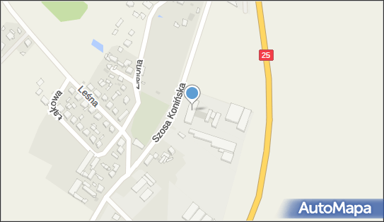 Stacja Obsługi Samochodów, Wynajem Lokali Użytkowych i Mieszkalnych - Kazimierz Tomczyk 62-820 - Przedsiębiorstwo, Firma, NIP: 6181609853