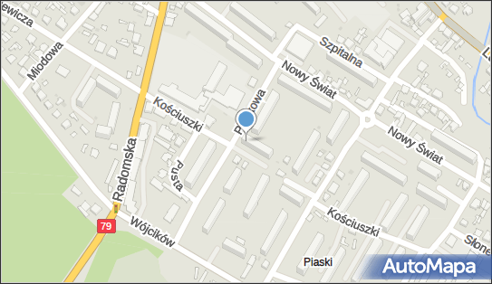 Stanisław Wąsik Krajowe Usługi Transportowe, Armii Ludowej 3 26-900 - Przedsiębiorstwo, Firma, NIP: 8121032641