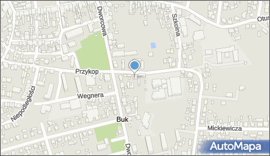 Stanisława Poplewska - Działalność Gospodarcza, Buk 64-320 - Przedsiębiorstwo, Firma, NIP: 7880016792