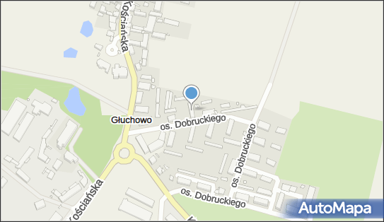 STerCO Aneta Maciejewska, ul. Sosnowa 5, Głuchowo 64-020 - Przedsiębiorstwo, Firma, NIP: 6981654068