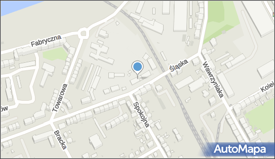 Stier Michał Łukasiewicz, ul. Śląska 96, Gorzów Wielkopolski 66-400 - Przedsiębiorstwo, Firma, NIP: 5991490969