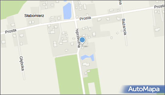 Stowarzyszenie Bezpieczne Dziecko Bezpieczna Matka, Poprzeczna 23 96-325 - Przedsiębiorstwo, Firma, NIP: 8381767581