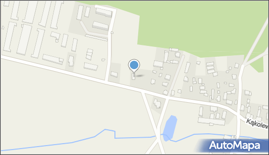 Stowarzyszenie Dobroczynności Chorym i Starym Ludziom, Kąkolewo 1 64-307 - Przedsiębiorstwo, Firma, NIP: 9950135015