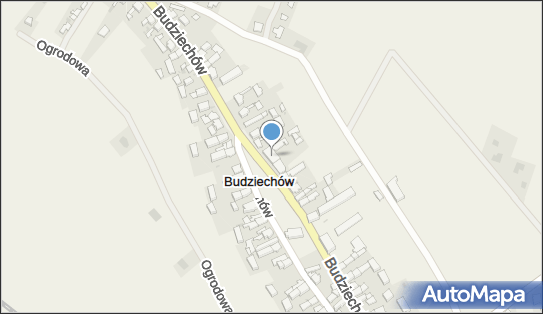 Stowarzyszenie Mieszkańców i Przyjaciół Budziechowa, Budziechów 68-300 - Przedsiębiorstwo, Firma, NIP: 9282011969