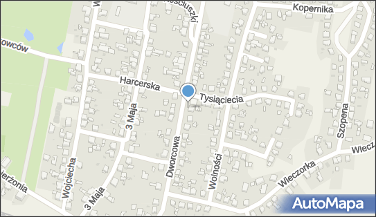 Stowarzyszenie Miłośników Śląskiej Porcelany i Widokówki 42-620 - Przedsiębiorstwo, Firma, NIP: 6452289261