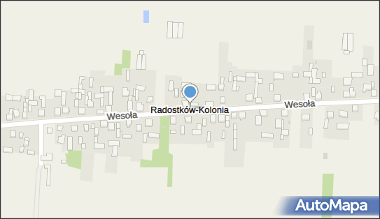 Stowarzyszenie Na Rzecz Rozwoju Wsi Radostków i Okolic, Radostków 42-233 - Przedsiębiorstwo, Firma, numer telefonu, NIP: 5732689400