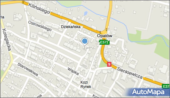 8631653483, Stowarzyszenie Na Rzecz Wspierania Aktywności Lokalnej w Powiecie Opatowskim 