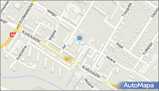 Stowarzyszenie Pomocy Społecznej Socjal w Braniewie, Braniewo 14-500 - Przedsiębiorstwo, Firma, numer telefonu, NIP: 5821431287