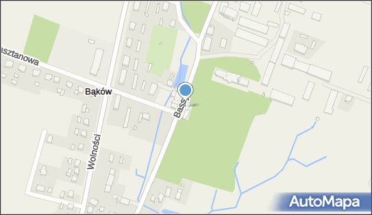 Stowarzyszenie Rozwoju i Odnowy Wsi Bąków, ul. Braci Bassy 16 46-233 - Przedsiębiorstwo, Firma, NIP: 7511672980