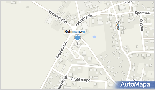 Stowarzyszenie Sportowo Ekologiczno Turystyczne Set w Baboszewie 09-130 - Przedsiębiorstwo, Firma, numer telefonu, NIP: 5671780861