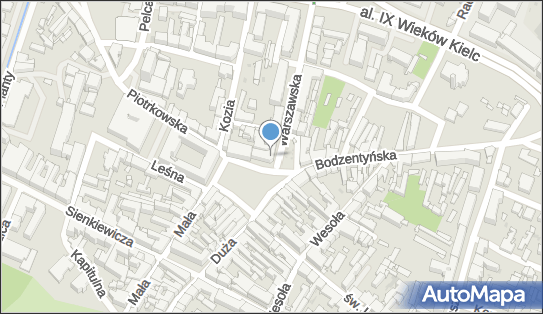 Stowarzyszenie Wspierania Inicjatyw Lokalnych Wektory, pl. Rynek 5 25-303 - Przedsiębiorstwo, Firma, numer telefonu, NIP: 6572176022