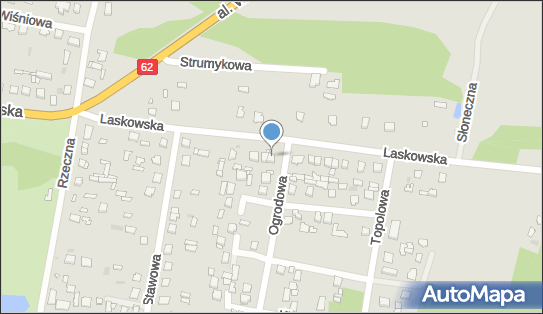 Strong Vet, Laskowska 18, Łochów 07-130 - Przedsiębiorstwo, Firma, NIP: 8241741618