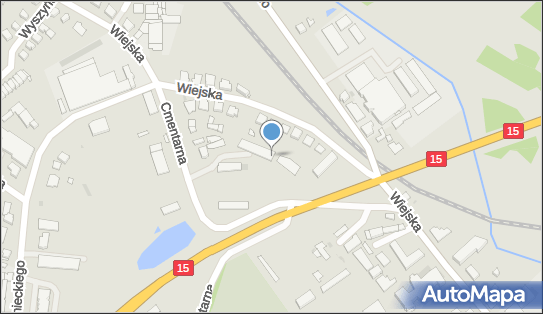 Studio Figura Ewa Ewa Pawlak, Wiejska 11A, Brodnica 87-300 - Przedsiębiorstwo, Firma, NIP: 8741157727