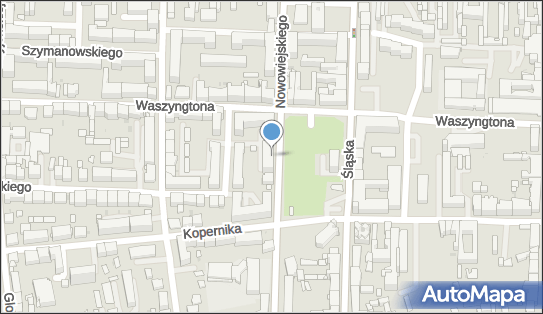 Studio Fryzur Izabela Cieślar, ul. Nowowiejskiego 10/12 42-217 - Przedsiębiorstwo, Firma, NIP: 9490141906