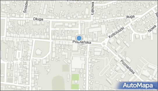 Studio Fryzur Maja Irena Świergiel, Poznańska 14, Nowy Tomyśl 64-300 - Przedsiębiorstwo, Firma, NIP: 7772344654