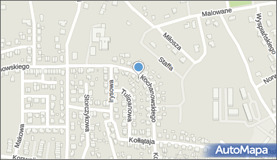 Studio Komputerowe Lupi Zaborski Piotr, ul. Jana Kochanowskiego 21 22-100 - Przedsiębiorstwo, Firma, NIP: 5631424806
