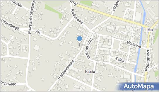 Studio Kosmetyczne i Masażu, ul. Bodzentyńska 14, Iłża 27-100 - Przedsiębiorstwo, Firma, NIP: 7962726821