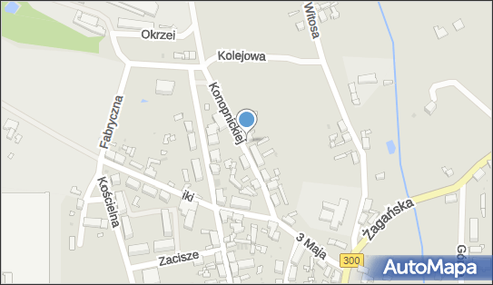 Studio Mody, ul. Konopnickiej 12, Gozdnica 68-130 - Przedsiębiorstwo, Firma, numer telefonu, NIP: 9241324890