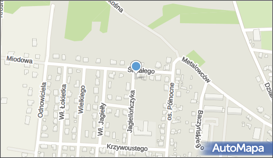 Studio Tańca Nowoczesnego Etna, Bolesława Śmiałego 9 66-600 - Przedsiębiorstwo, Firma, NIP: 9261471499