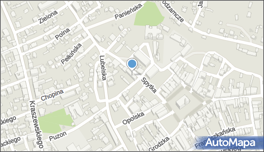 Studio Tatuażu Artystycznego Broken Dreams Mariusz Wrucha 37-500 - Przedsiębiorstwo, Firma, NIP: 7921926606