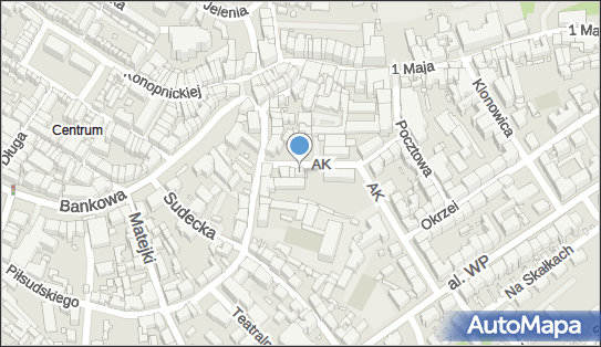 Studio Tatuażu Artystycznego Szpila Adam Nalepka 58-500 - Przedsiębiorstwo, Firma, NIP: 6141331512