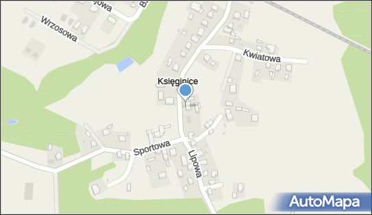 Studio Wang, Wrocławska 11, Księginice 55-330 - Przedsiębiorstwo, Firma, NIP: 8951776589