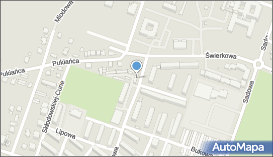 Studio z Pazurem, Sosnowa 11, Przasnysz 06-300 - Przedsiębiorstwo, Firma, NIP: 7611558077